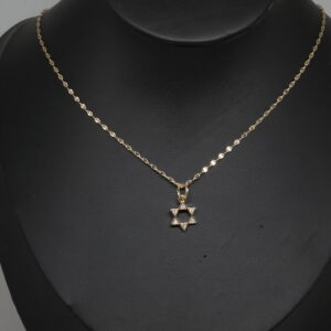 שרשרת עם תליון מגן דויד , עשויה מחומר איכותי עמיד במים – פלדת אל חלד , במגן דויד עצמו יש זירקונים , שרשרת עדינה ויפה, מתאים לכל מי שאוהב את הסגנון